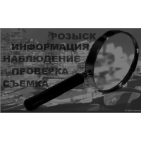 Детективное агентство "Волков и Партнеры"