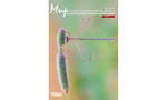 Мир Гальваники №1, 2015