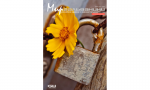 Мир Гальваники №1, 2016