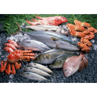 Рыба и морепродукты