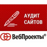 Конверсионный аудит