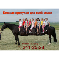 Конные прогулки в Ростове . 241-25-28, 279-09-63
