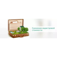 КАК СНИЗИТЬ КАДАСТРОВУЮ СТОИМОСТЬ ДЛЯ УМЕНЬШЕНИЯ НАЛОГА НА НЕДВИЖИМОСТЬ?