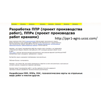 Проектировщик. ппр