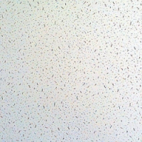 Плита "ГАЛА-СТАРТ" 600х600х6 мм