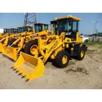Yigong ZL20