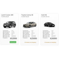 Инвестиционный проект в элитные автомобили ОАЭ